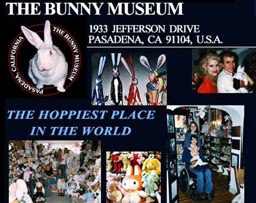 bunny museum