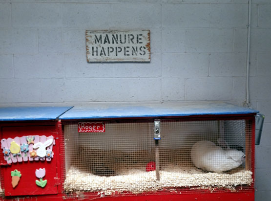 Roger Rabbit, "Manure Happens," Daggett Farm, Slater Park, Pawtucket, RI